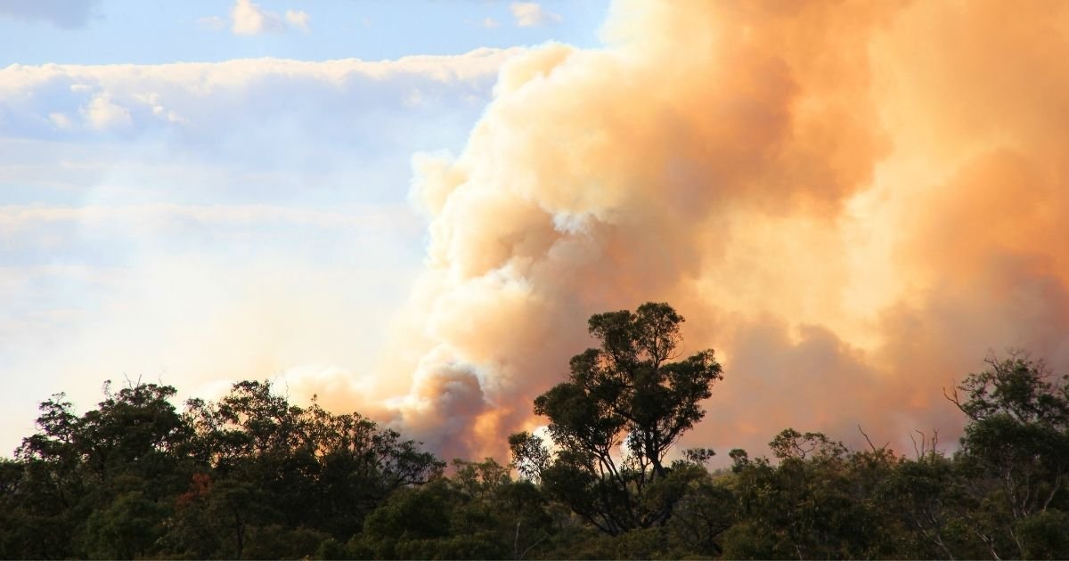 Perth Hill Bushfires | Elders Insurance